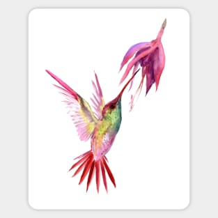 Hummingbird Sticker